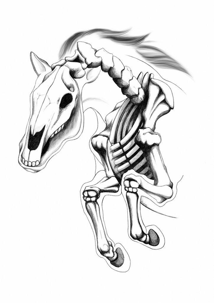 Skeleton Horse