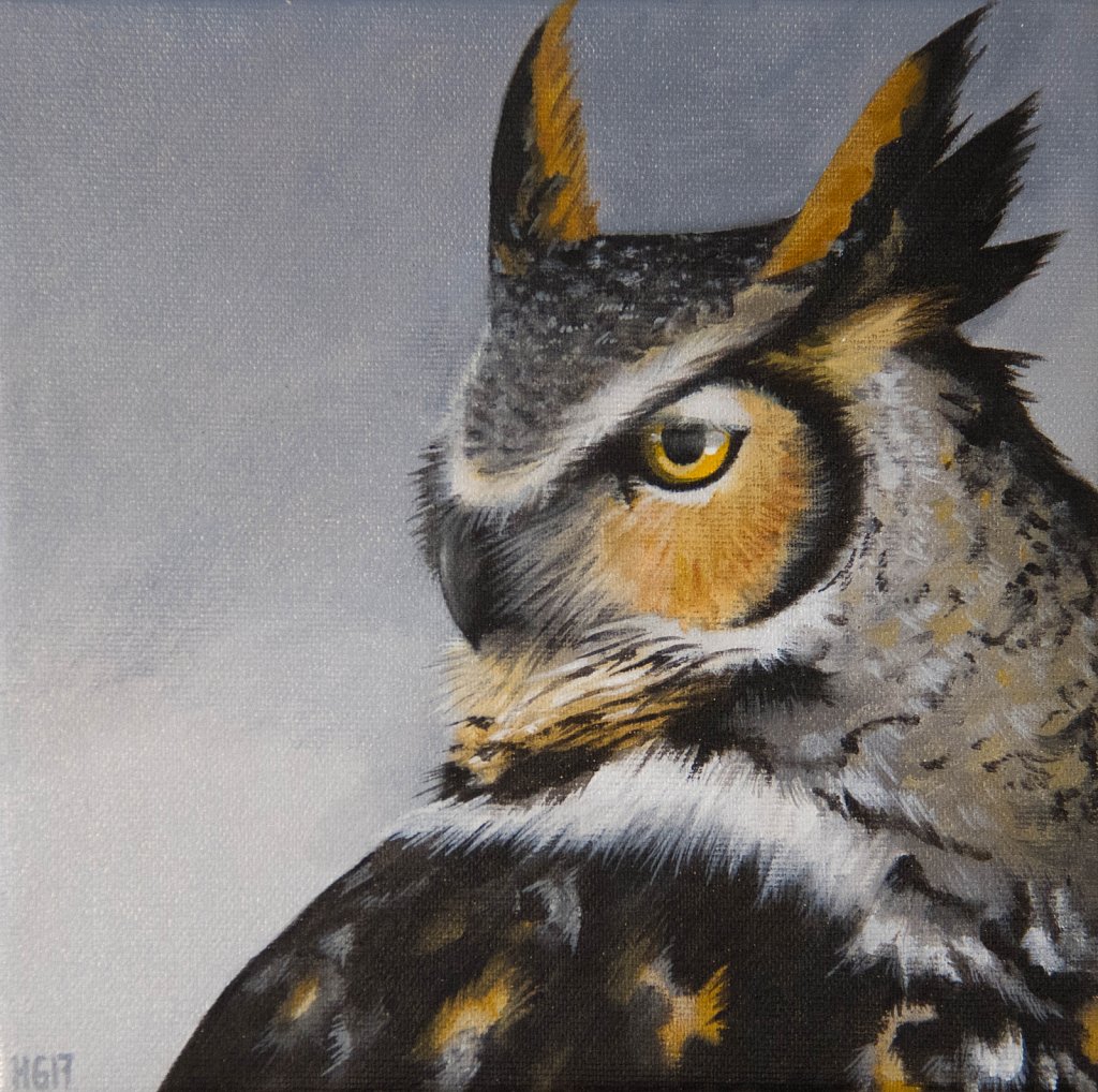 Horned Owl (side view) / Hornuggla (profil)