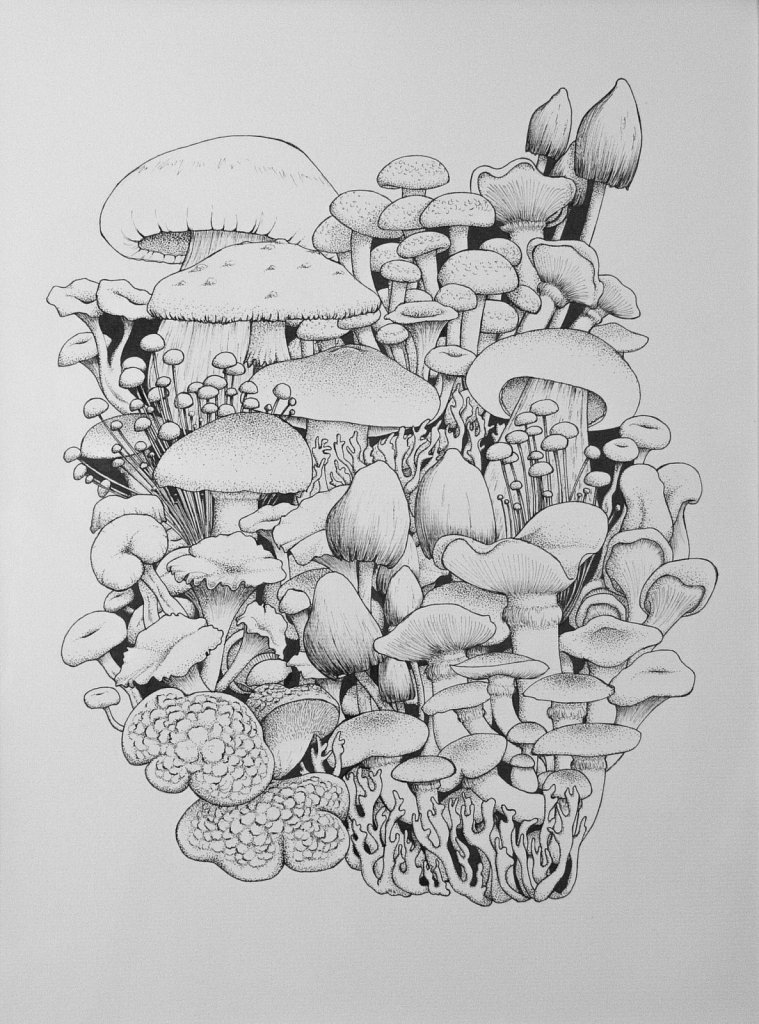 Mushrooms