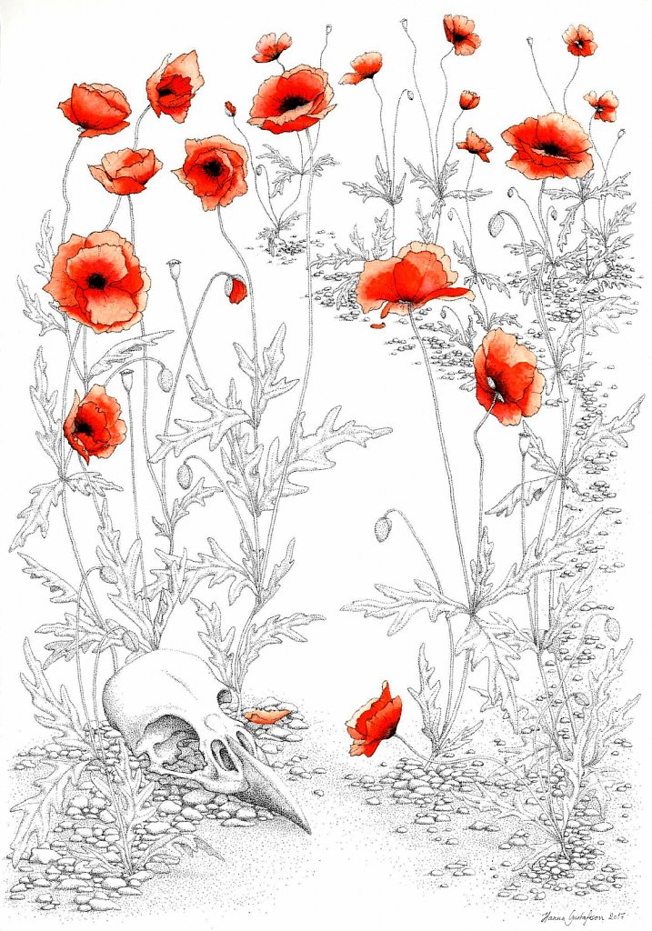 Poppies