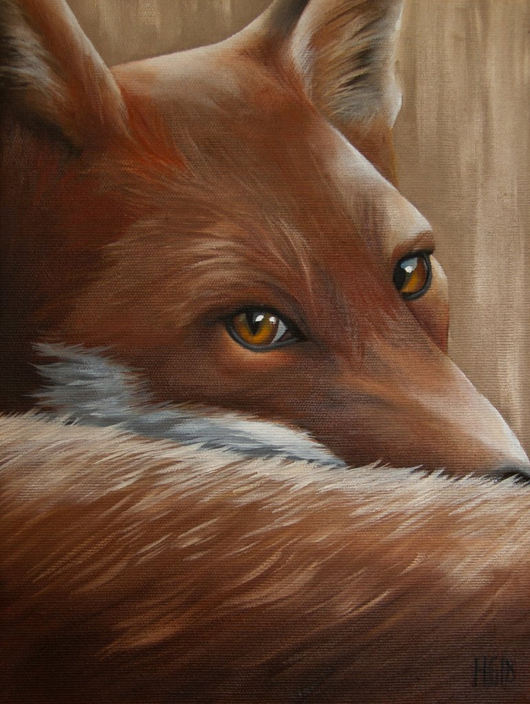 Red Fox 2 / Sneglande räv