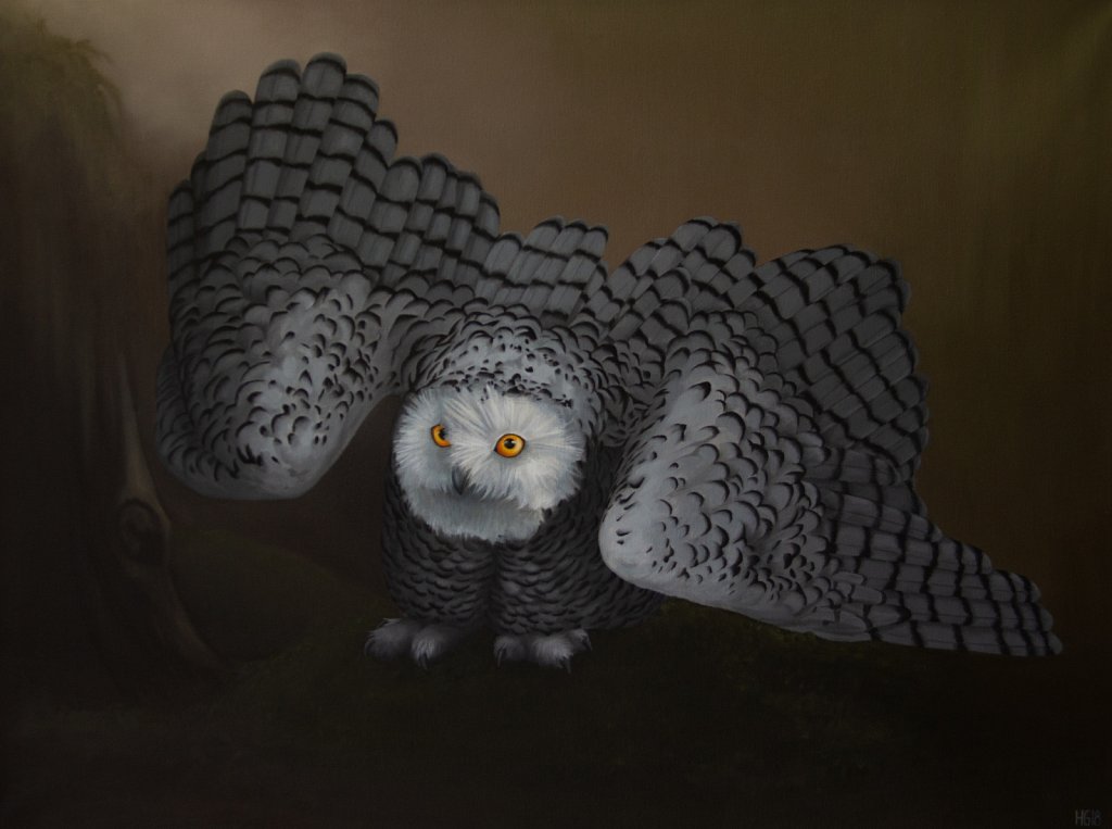 Snowy Owl / Fjälluggla