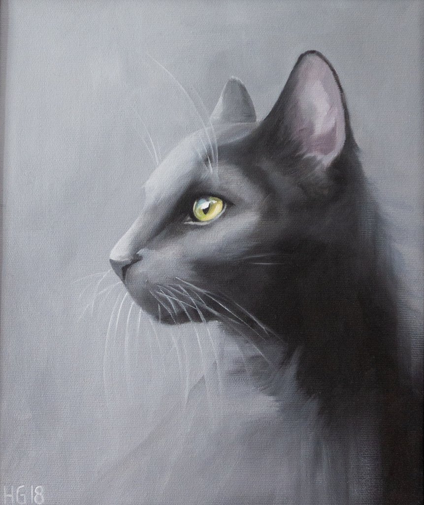 Grey Cat / Grå katten