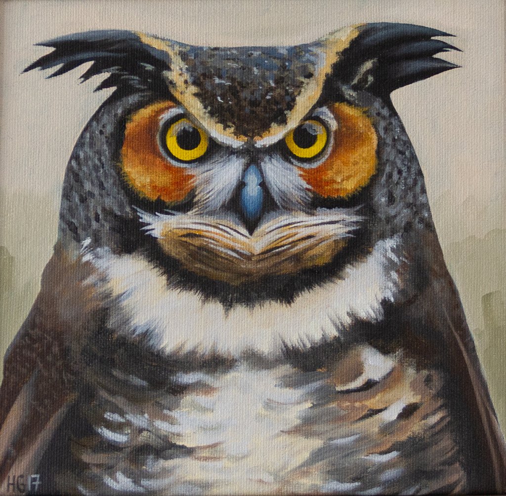 Horned Owl (front view)  / Hornuggla (framifrån)